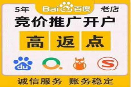 推广竞价实战技巧：从成功案例中汲取经验